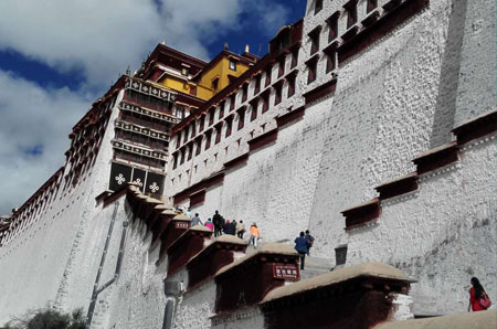 瑞德集团领导集体赴西藏考察调研